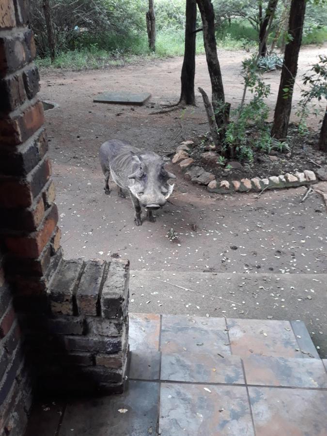 African Sky Marloth Park Exterior photo