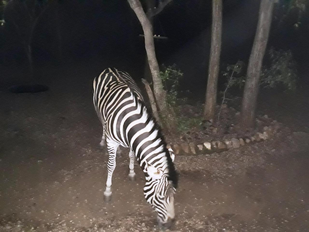African Sky Marloth Park Exterior photo