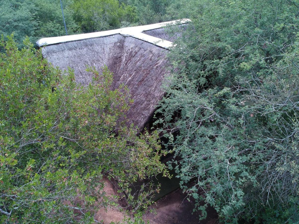 African Sky Marloth Park Exterior photo